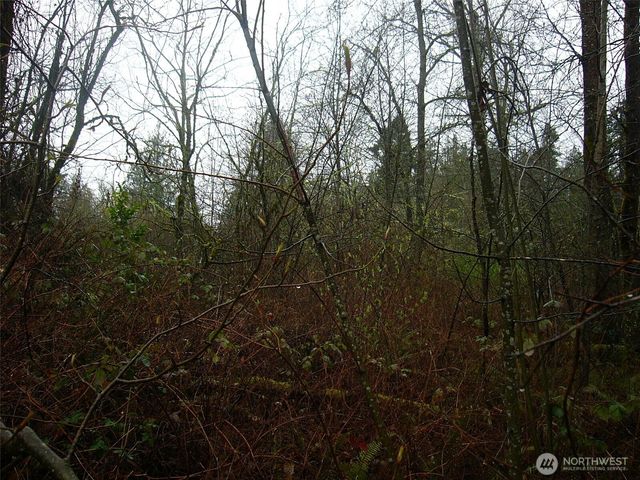 0 46th Avenue S, Auburn, WA 98001