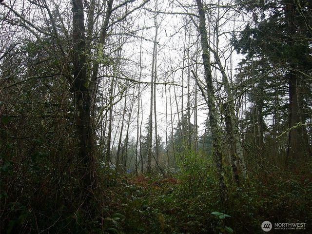 0 46th Avenue S, Auburn, WA 98001