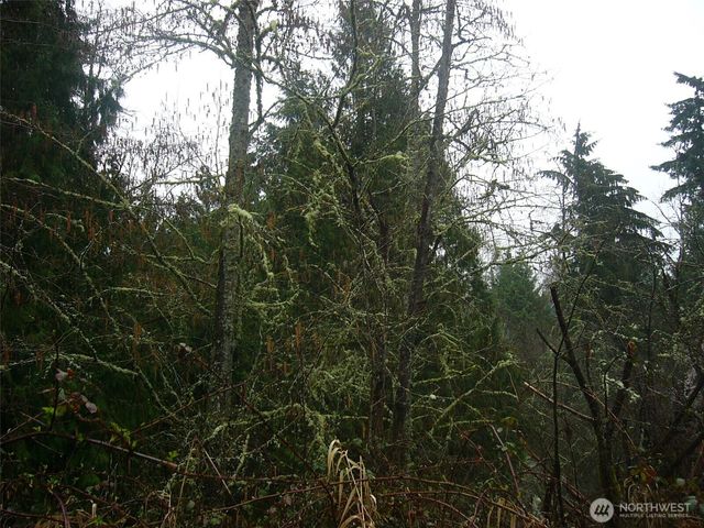 0 46th Avenue S, Auburn, WA 98001