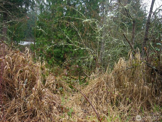 0 46th Avenue S, Auburn, WA 98001