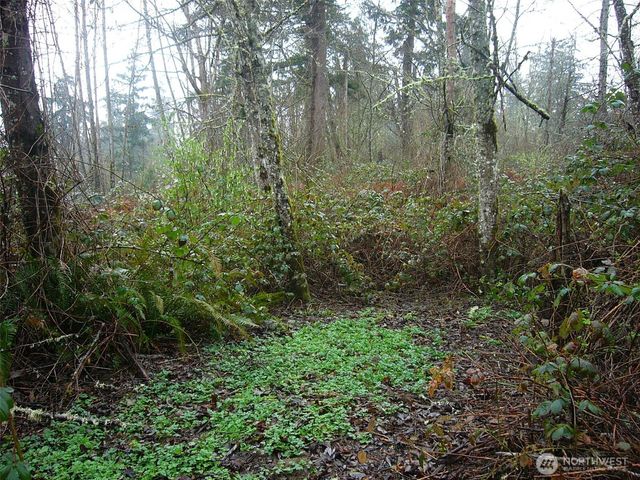 0 46th Avenue S, Auburn, WA 98001