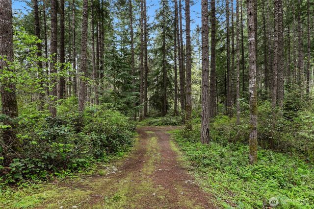 22419 Bluewater Drive SE, Yelm, WA 98597