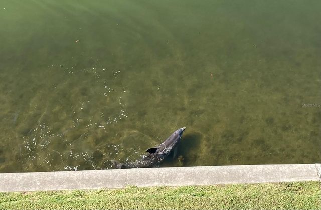 8800 BAY PINES BOULEVARD 320, St Petersburg, FL 33709