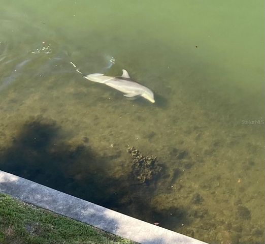 8800 BAY PINES BOULEVARD 320, St Petersburg, FL 33709