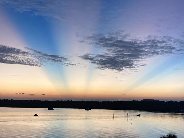 8800 BAY PINES BOULEVARD 320, St Petersburg, FL 33709