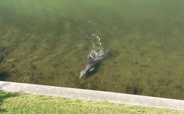 8800 BAY PINES BOULEVARD 320, St Petersburg, FL 33709