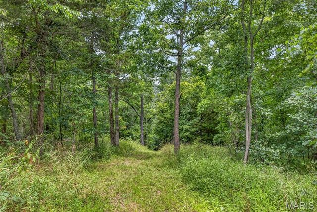 2865 Mammoth Woods Trail, De Soto, MO 63020