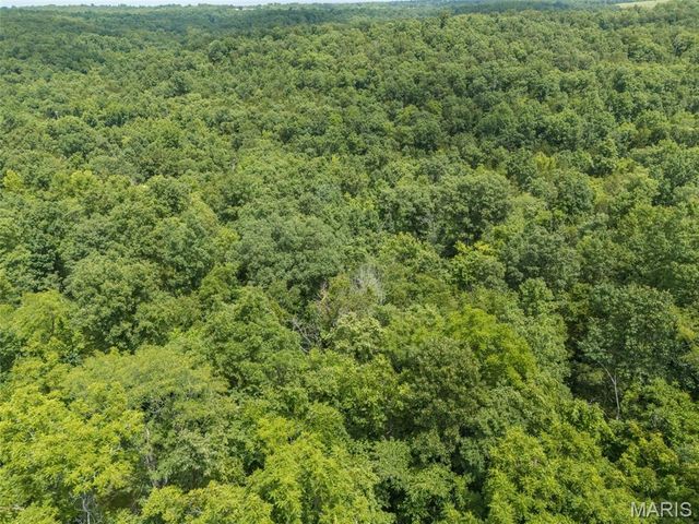 2865 Mammoth Woods Trail, De Soto, MO 63020