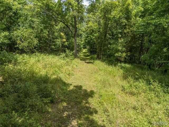 2865 Mammoth Woods Trail, De Soto, MO 63020