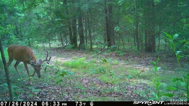 2865 Mammoth Woods Trail, De Soto, MO 63020