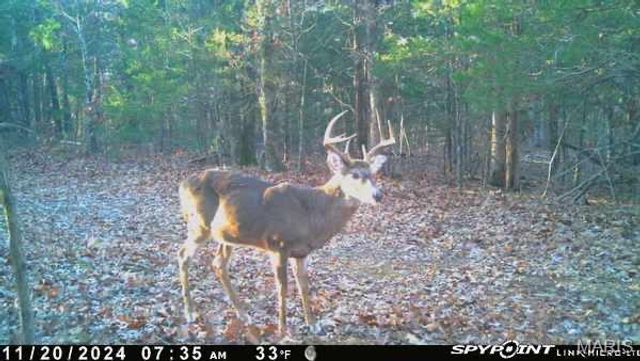 2865 Mammoth Woods Trail, De Soto, MO 63020