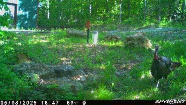 2865 Mammoth Woods Trail, De Soto, MO 63020
