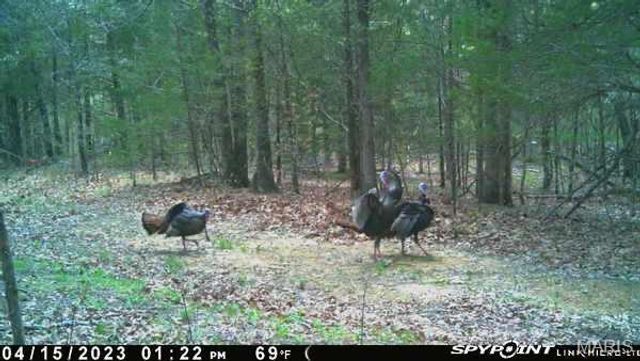 2865 Mammoth Woods Trail, De Soto, MO 63020