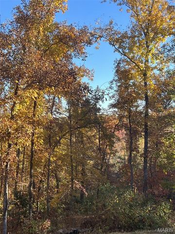 2865 Mammoth Woods Trail, De Soto, MO 63020