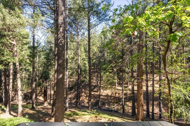 5671 Sierra Springs Dr, Pollock Pines, CA 95726