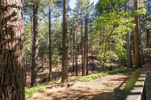 5671 Sierra Springs Dr, Pollock Pines, CA 95726