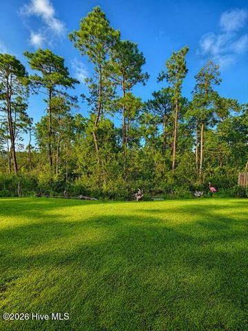 2106 Willowleaf Drive Lot 28, Leland, NC 28451