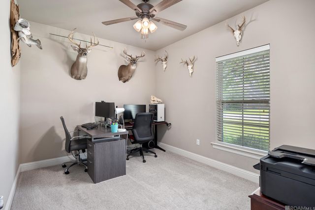 13172 Ellendale Dr, Gonzales, LA 70737