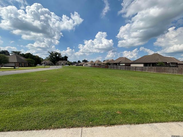 13172 Ellendale Dr, Gonzales, LA 70737