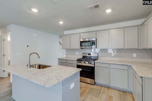 730 Clementine Run, Gilbert, SC 29054