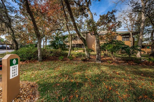802 LENNOX ROAD W 802, Palm Harbor, FL 34683