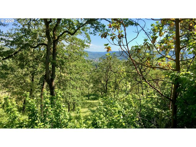 0 Ne EDENBOWER Blvd 1, Roseburg, OR 97470