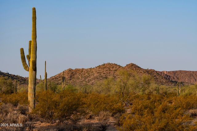 31275 N Crown King Lane, Queen Creek, AZ 85144