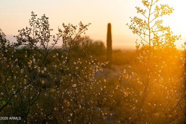 31275 N Crown King Lane, Queen Creek, AZ 85144