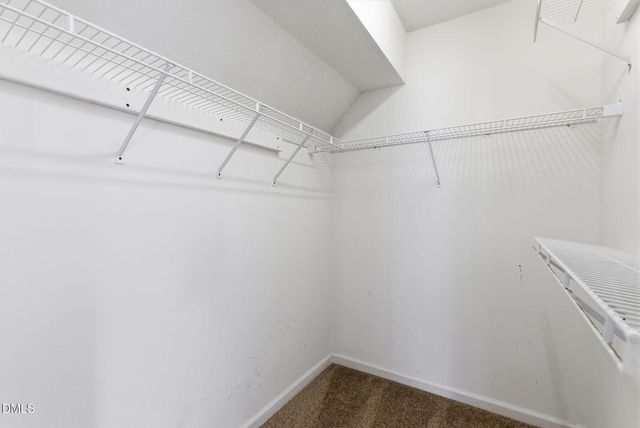 2505 Constitution Drive, Raleigh, NC 27615