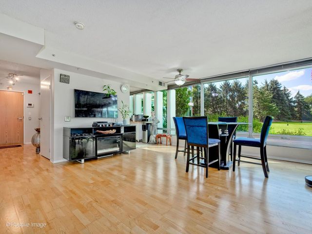 9715 WOODS Drive 402, Skokie, IL 60077