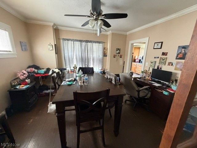 13445 Emerson Avenue, Lakewood, OH 44107