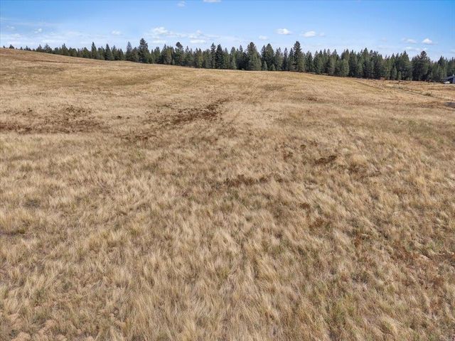 NKA W Latting Ln, Deer Park, WA 99006