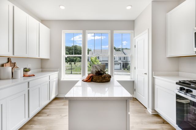 430 Red Oak Circle, Volo, IL 60020