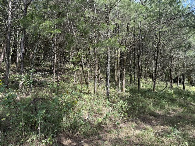 0 Celsor Rd, Hartsville, TN 37074