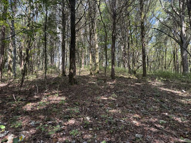0 Celsor Rd, Hartsville, TN 37074