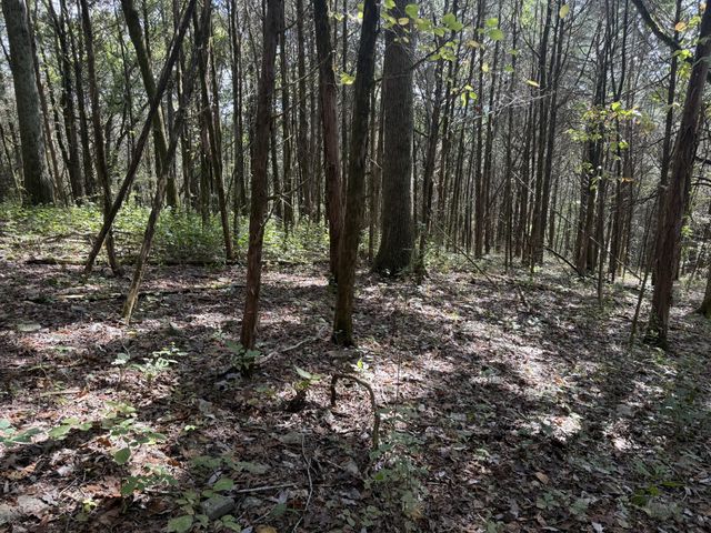 0 Celsor Rd, Hartsville, TN 37074