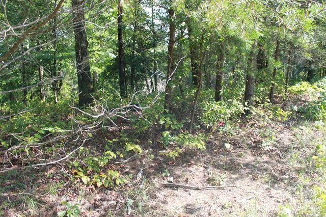 00 Lail Road, Rutherfordton, NC 28139