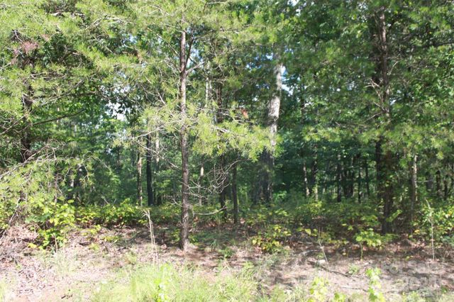 00 Lail Road, Rutherfordton, NC 28139