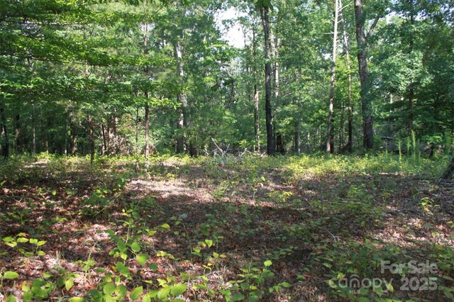 00 Lail Road, Rutherfordton, NC 28139