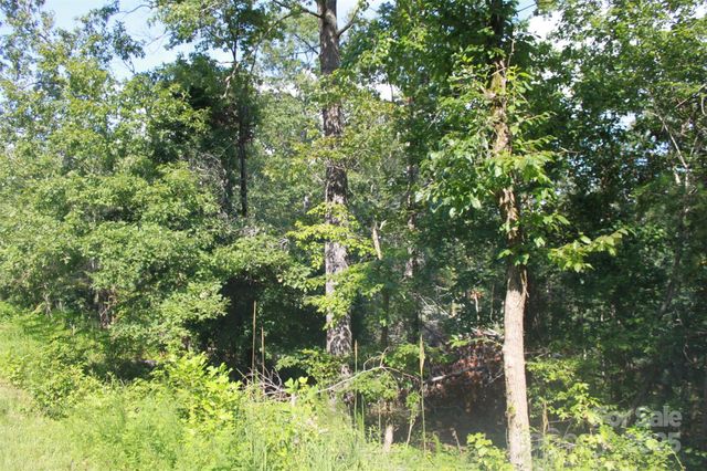 00 Lail Road, Rutherfordton, NC 28139