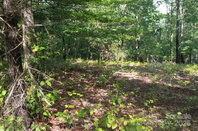 00 Lail Road, Rutherfordton, NC 28139