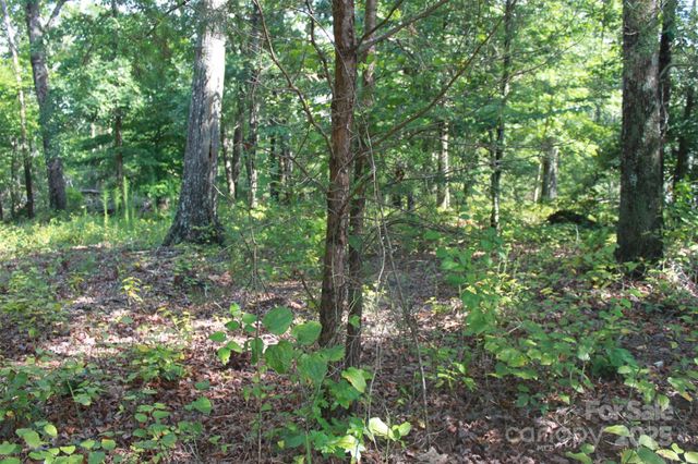 00 Lail Road, Rutherfordton, NC 28139