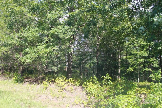 00 Lail Road, Rutherfordton, NC 28139