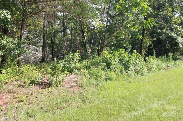 00 Lail Road, Rutherfordton, NC 28139