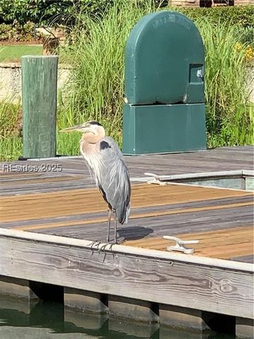 604 Flatwater Dr, Bluffton, SC 29910