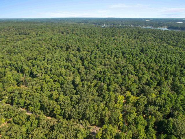 1101 King John Dr, Scroggins, TX 75480