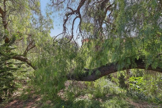 4615 Pico 3, San Diego, CA 92109