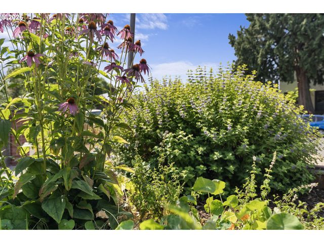 6427 N PRINCETON St, Portland, OR 97203