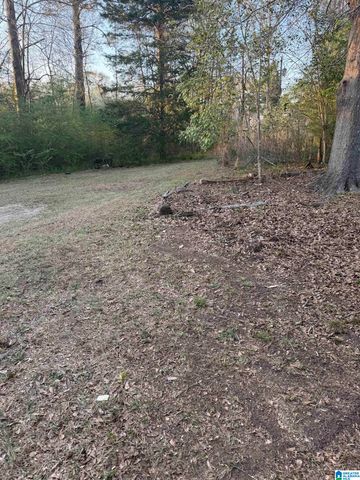 135 VASSAR AVENUE, Montevallo, AL 35115
