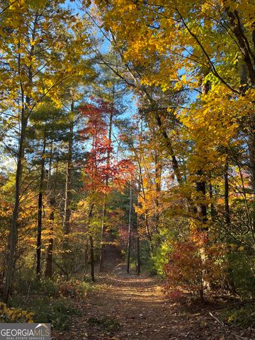 0 Pleasant Hill Trail, Ellijay, GA 30540